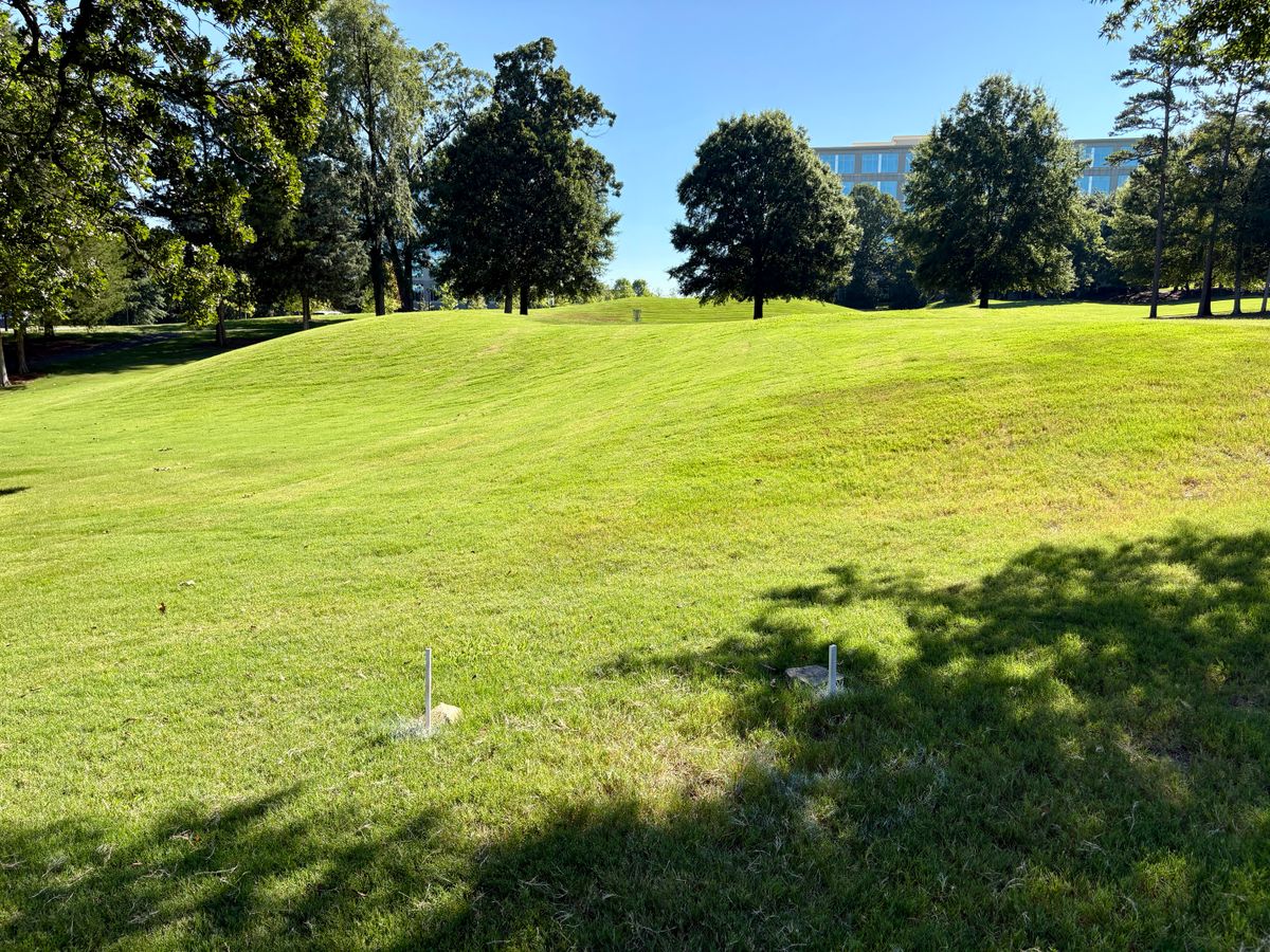 Hole 14 tee