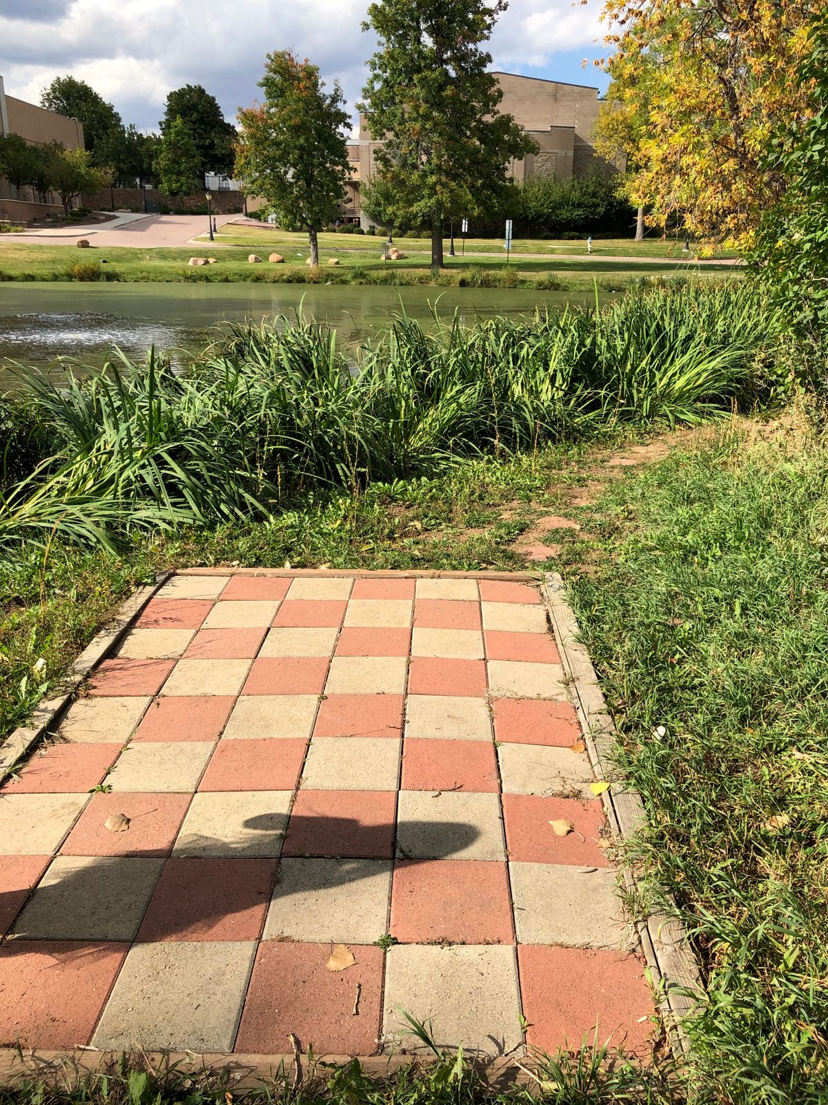 Hole 9 - Throwing over the pond.