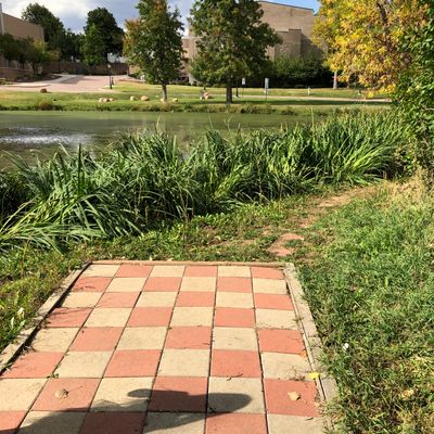 Hole 9 - Throwing over the pond.