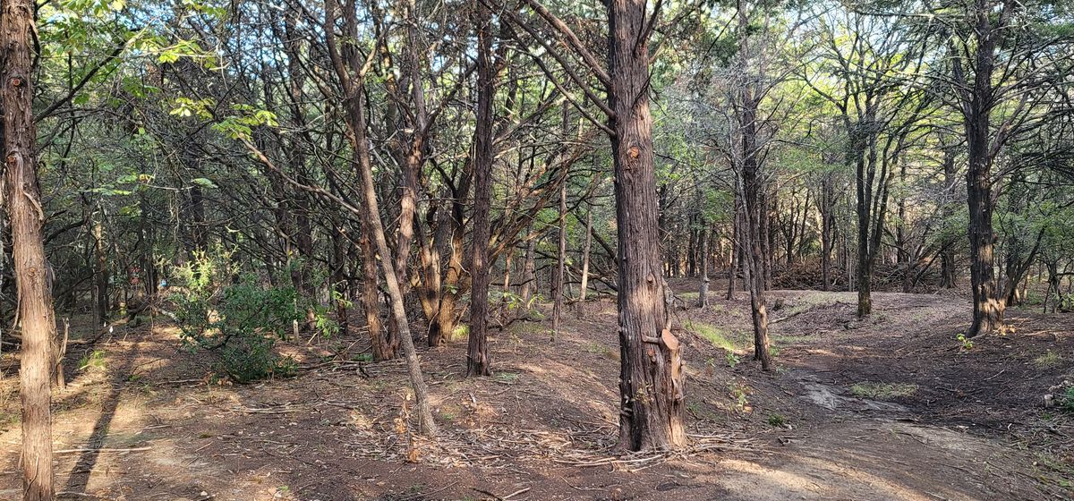 hole 4 fairway
