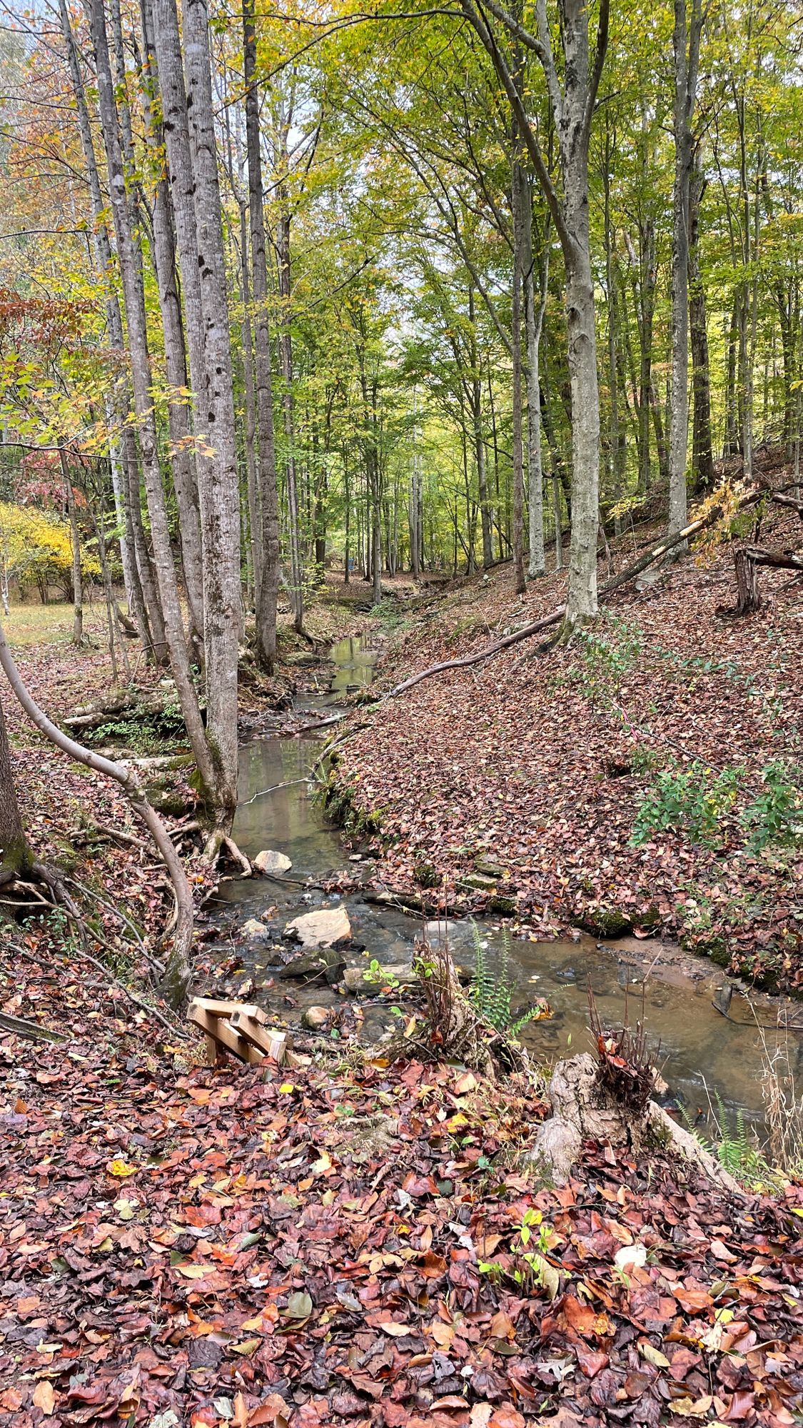 My favorite hole on my favorite course. The creek is the fairway (casual).