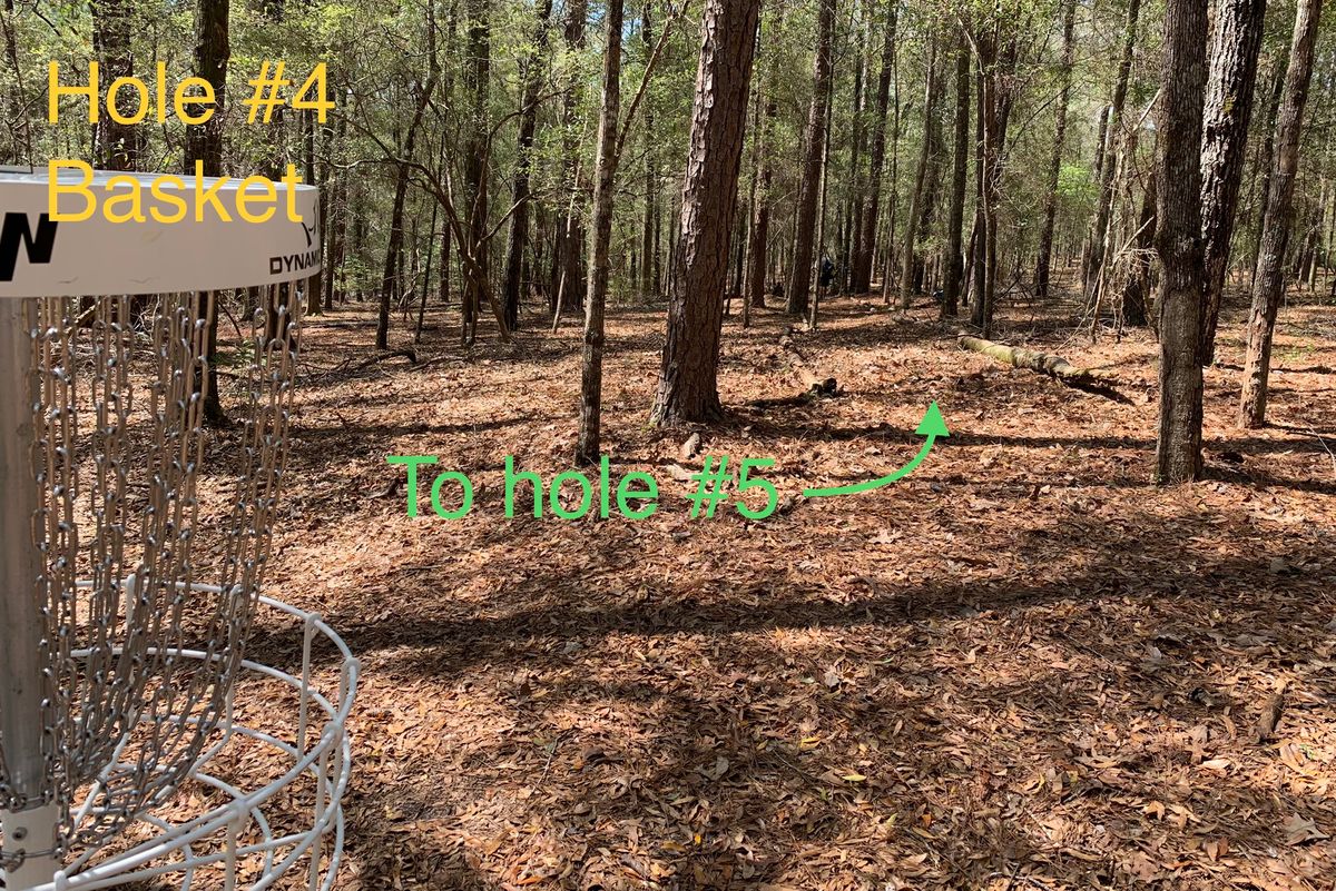 Path from 4 basket to 5 tee
