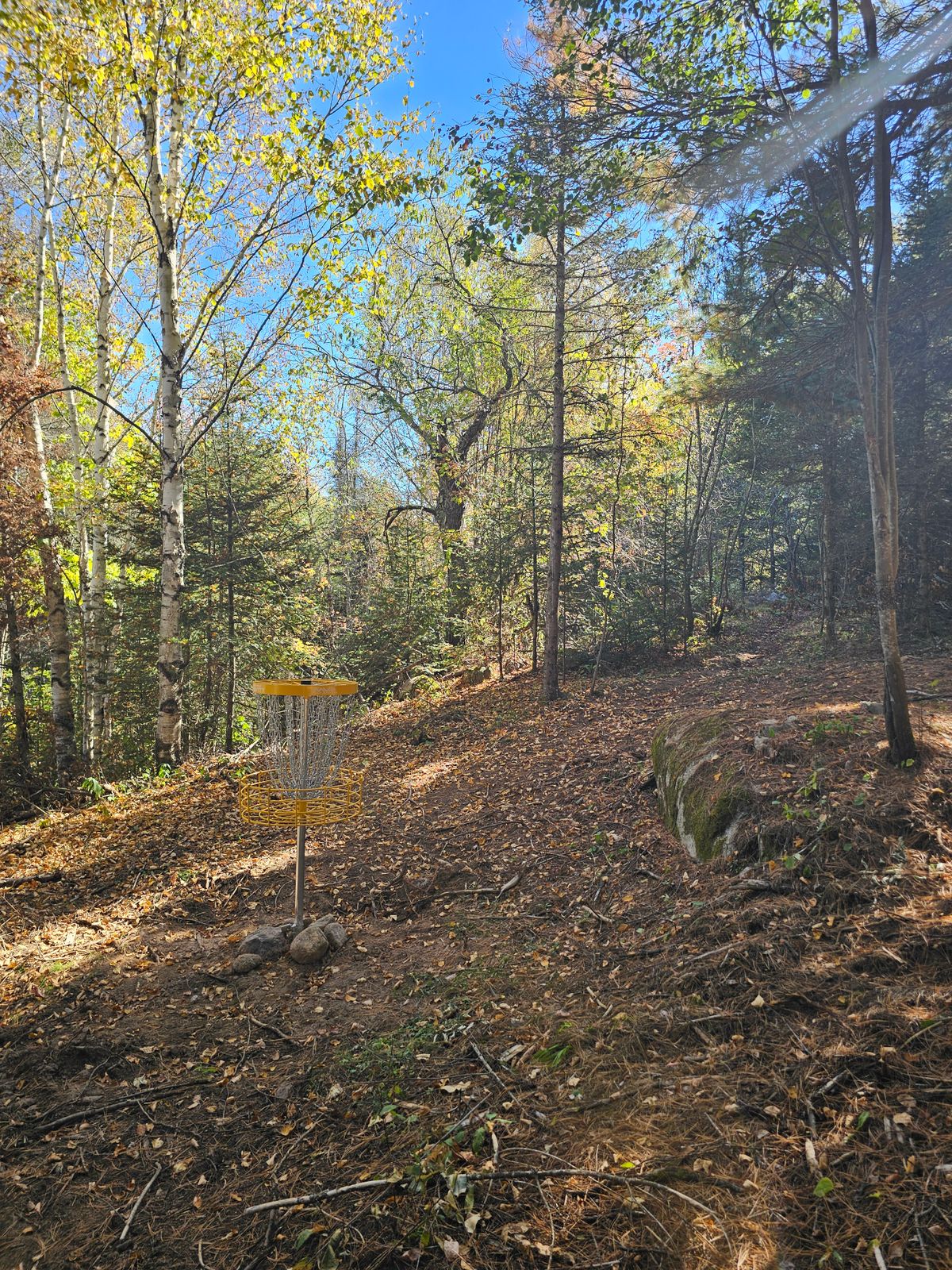 Hole 6