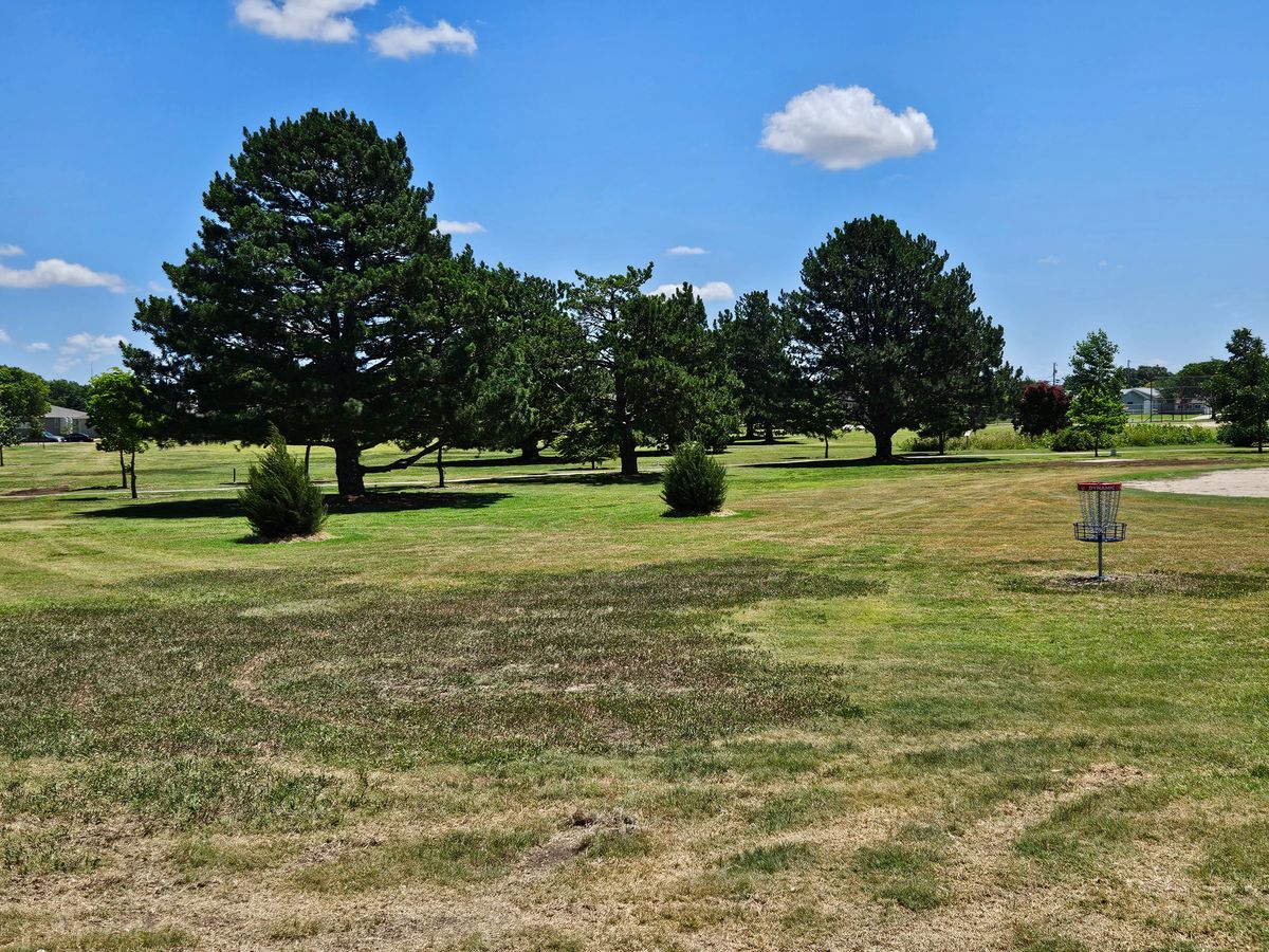 Hole 7 - Green