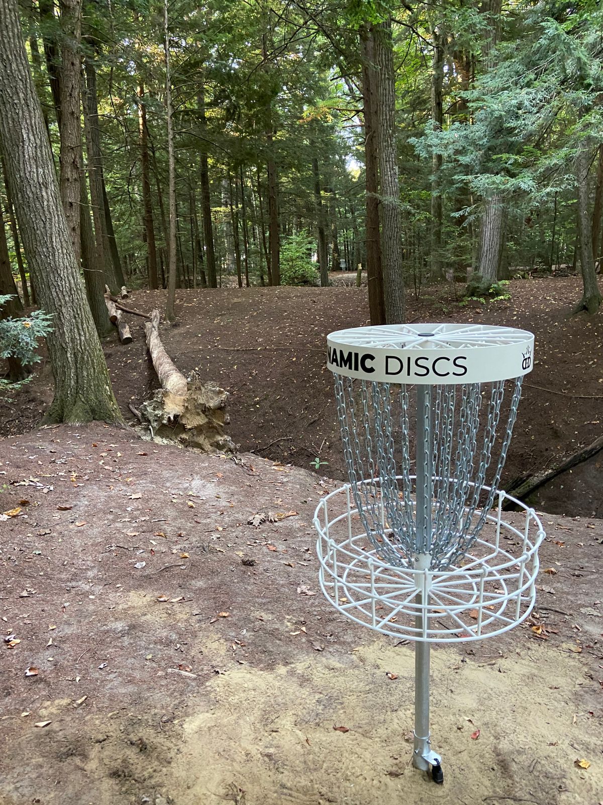 Hole 11