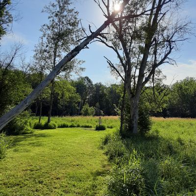 Morning sun on Hole 10.