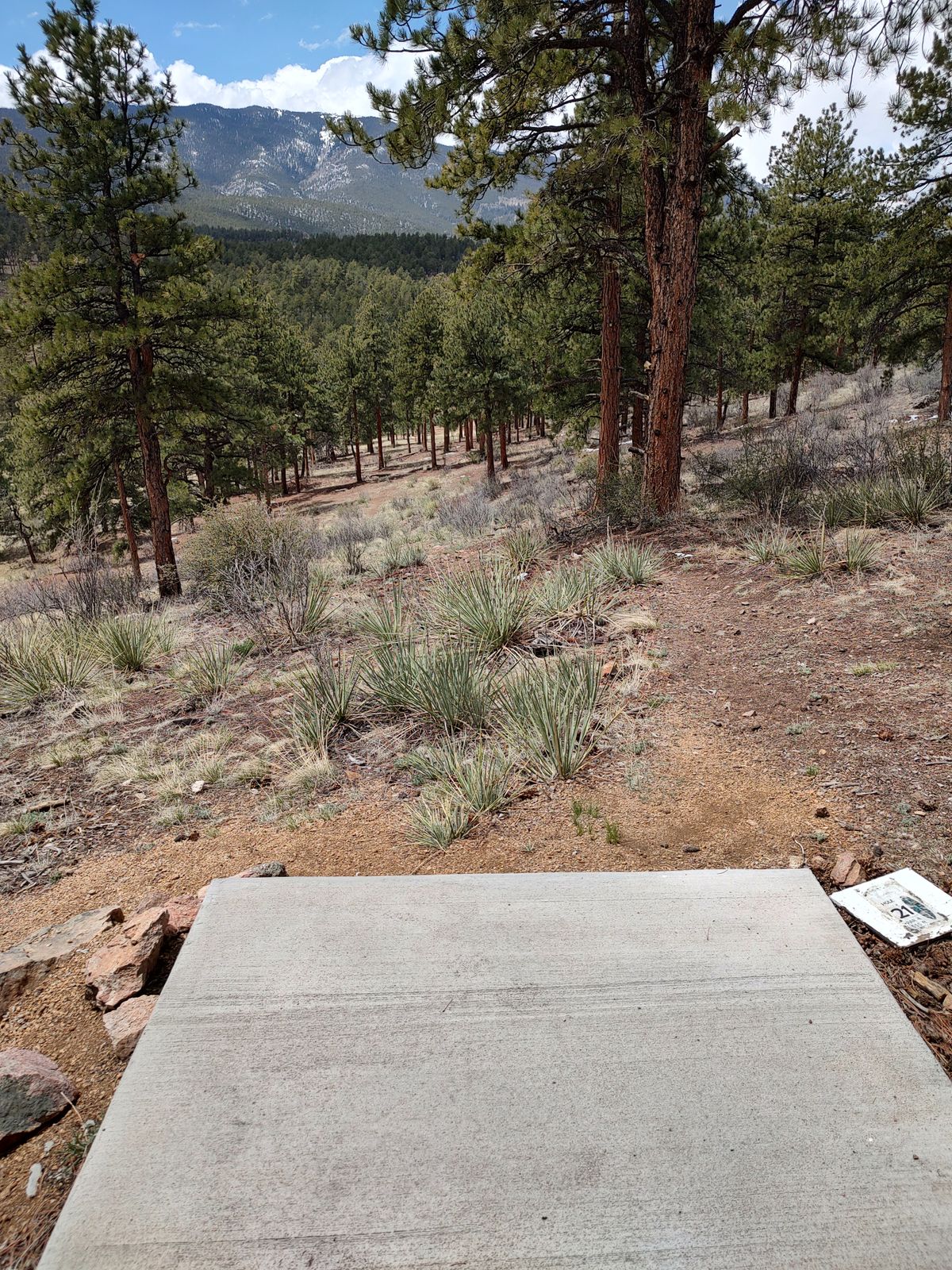 Hole 21 tee