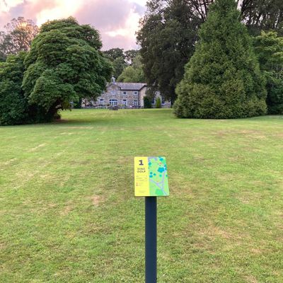 Hole 1 tee pad for the Beginner course.