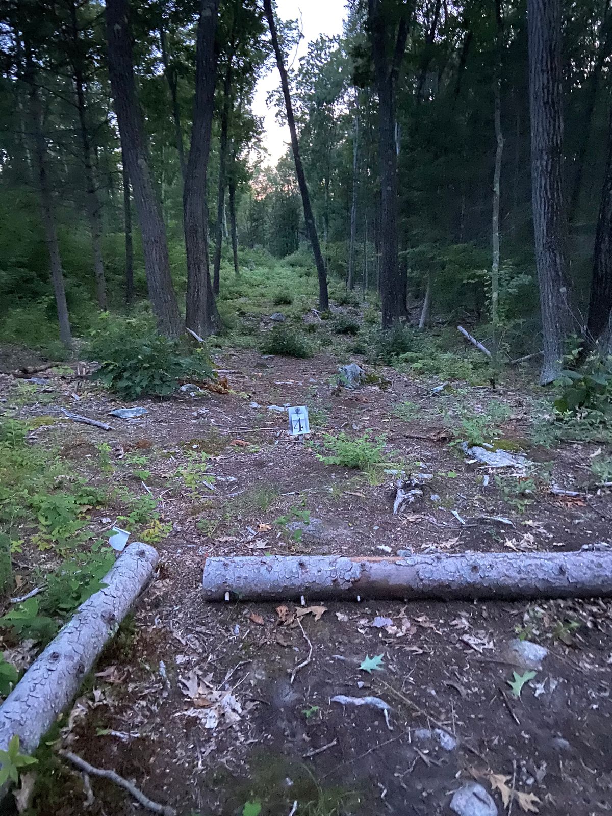 Hole 4