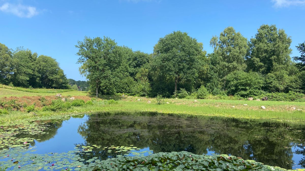 Hole 12 - par 3. A choice between going across the lake or around it.