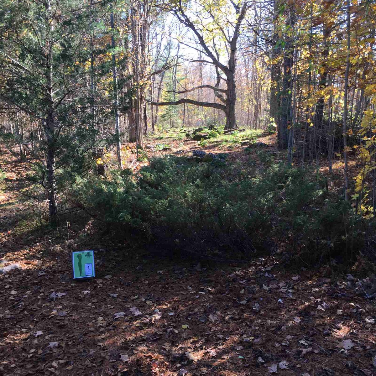 Fourth hole, 2019