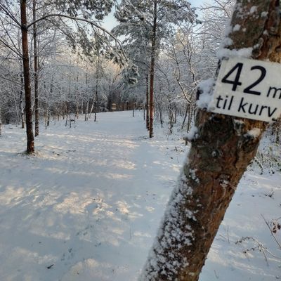 Hul 1