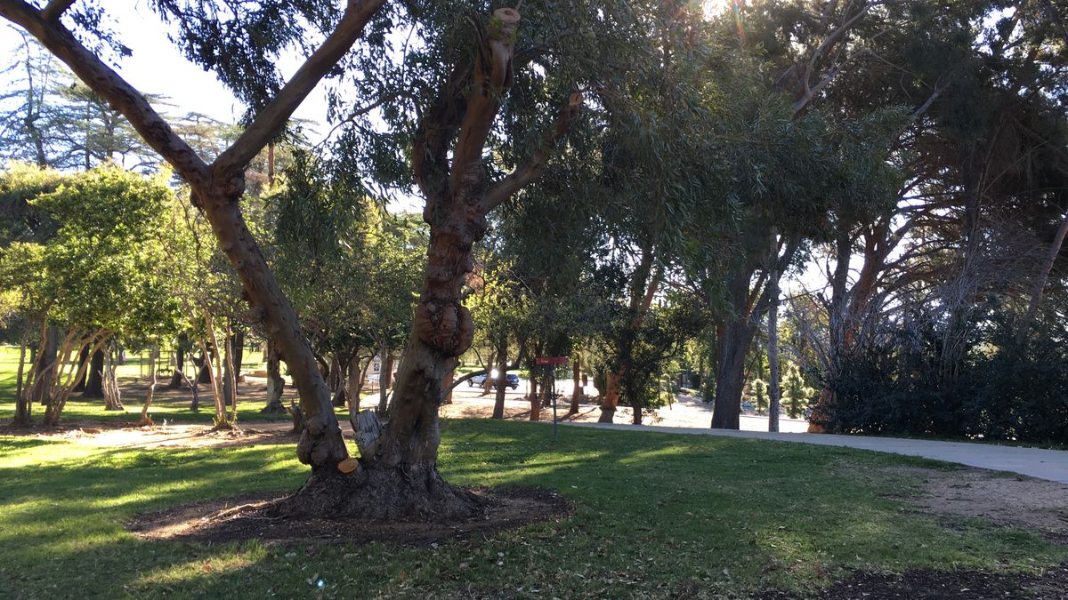 Hole 1
