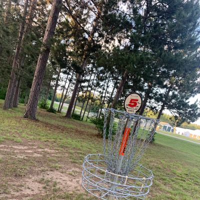 View of hole 5 basket.