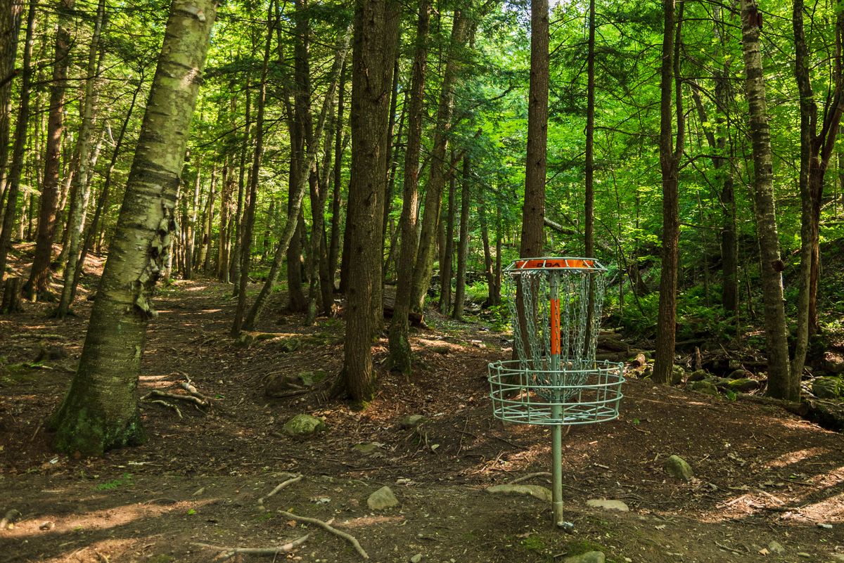 Hole 9 looking back