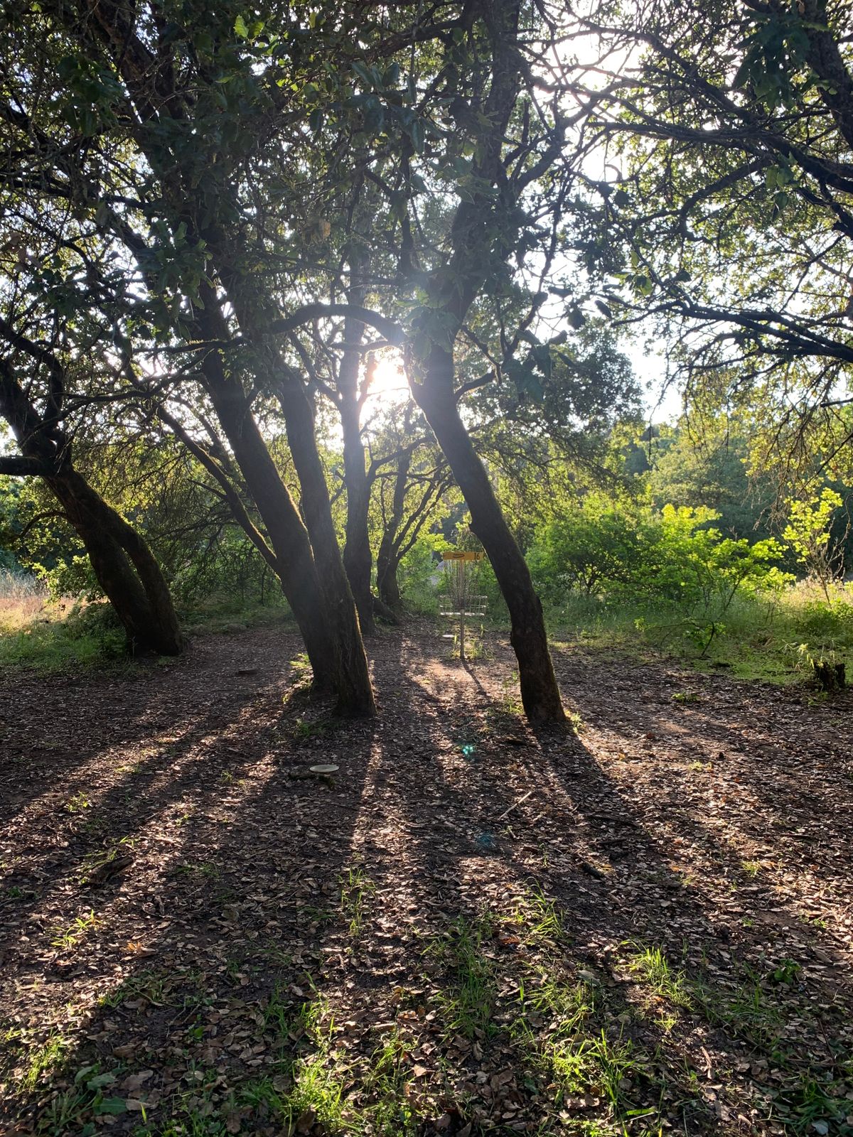 Hole 16