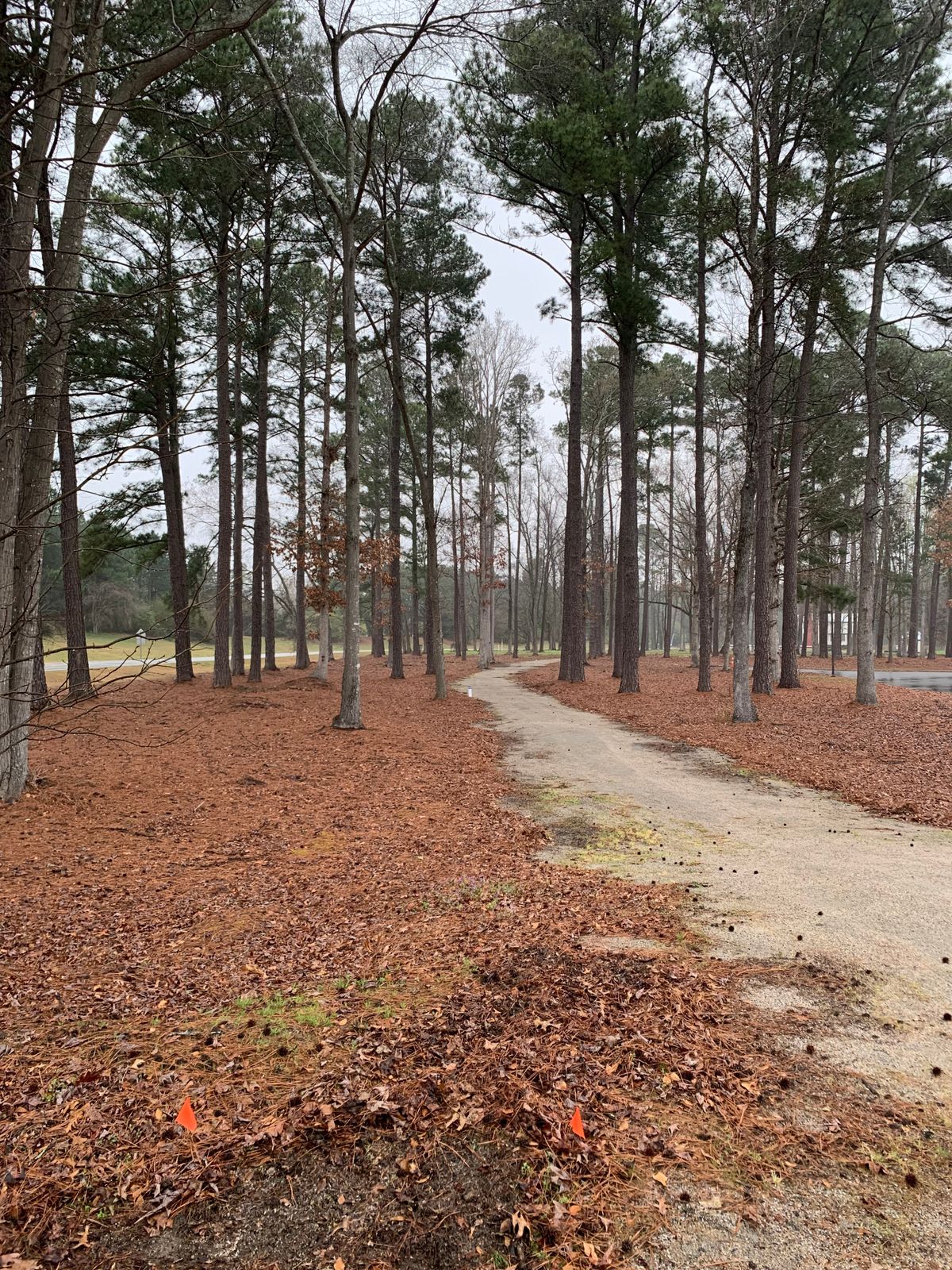 New Hole #1 - 2022 Updated Layout