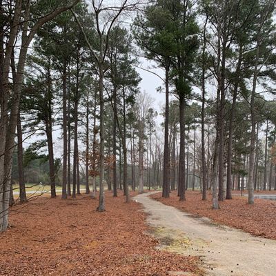New Hole #1 - 2022 Updated Layout