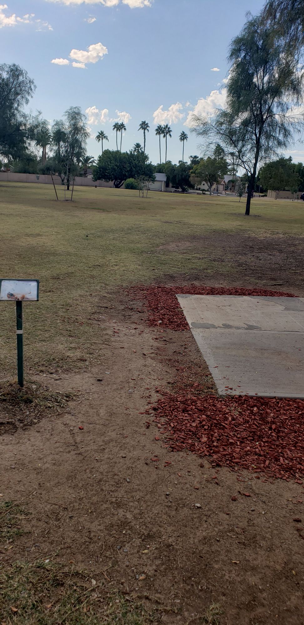 7 tee