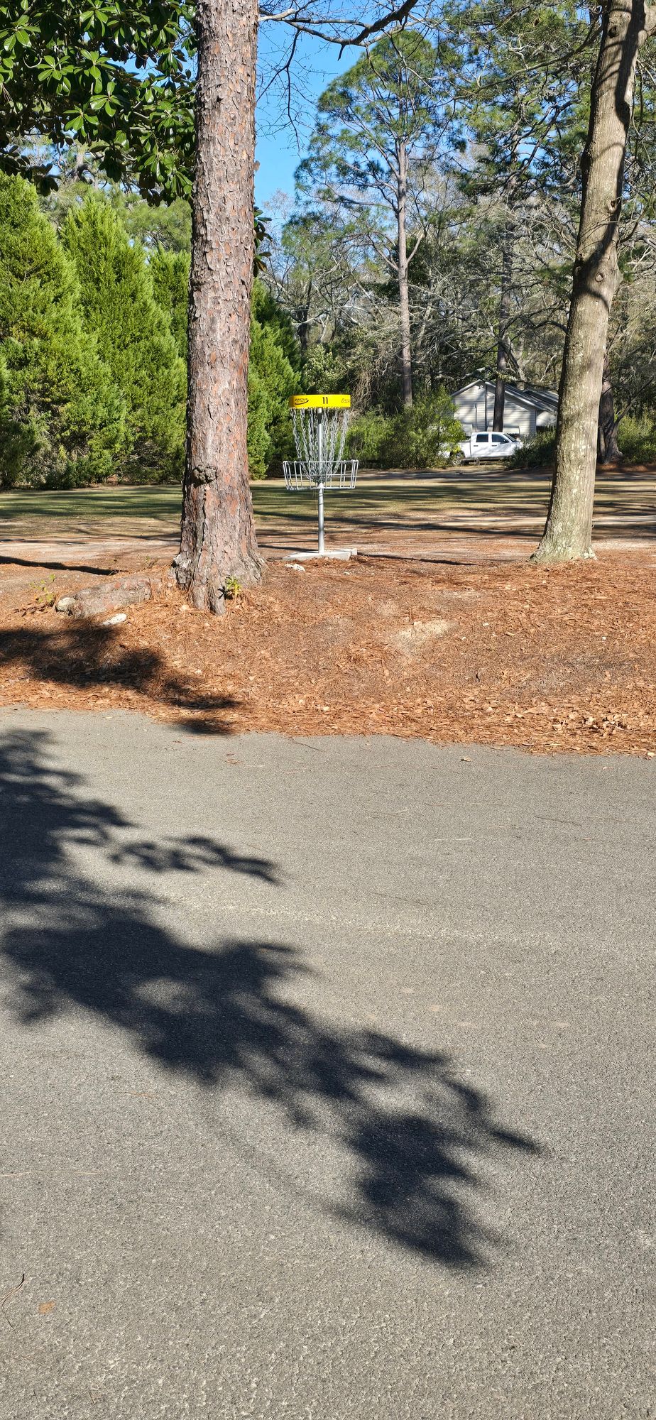 Hole 11 basket
