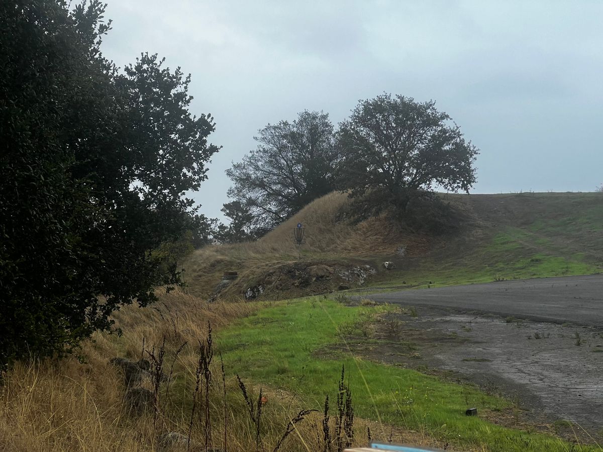 Hole 5 Plays around 200ft