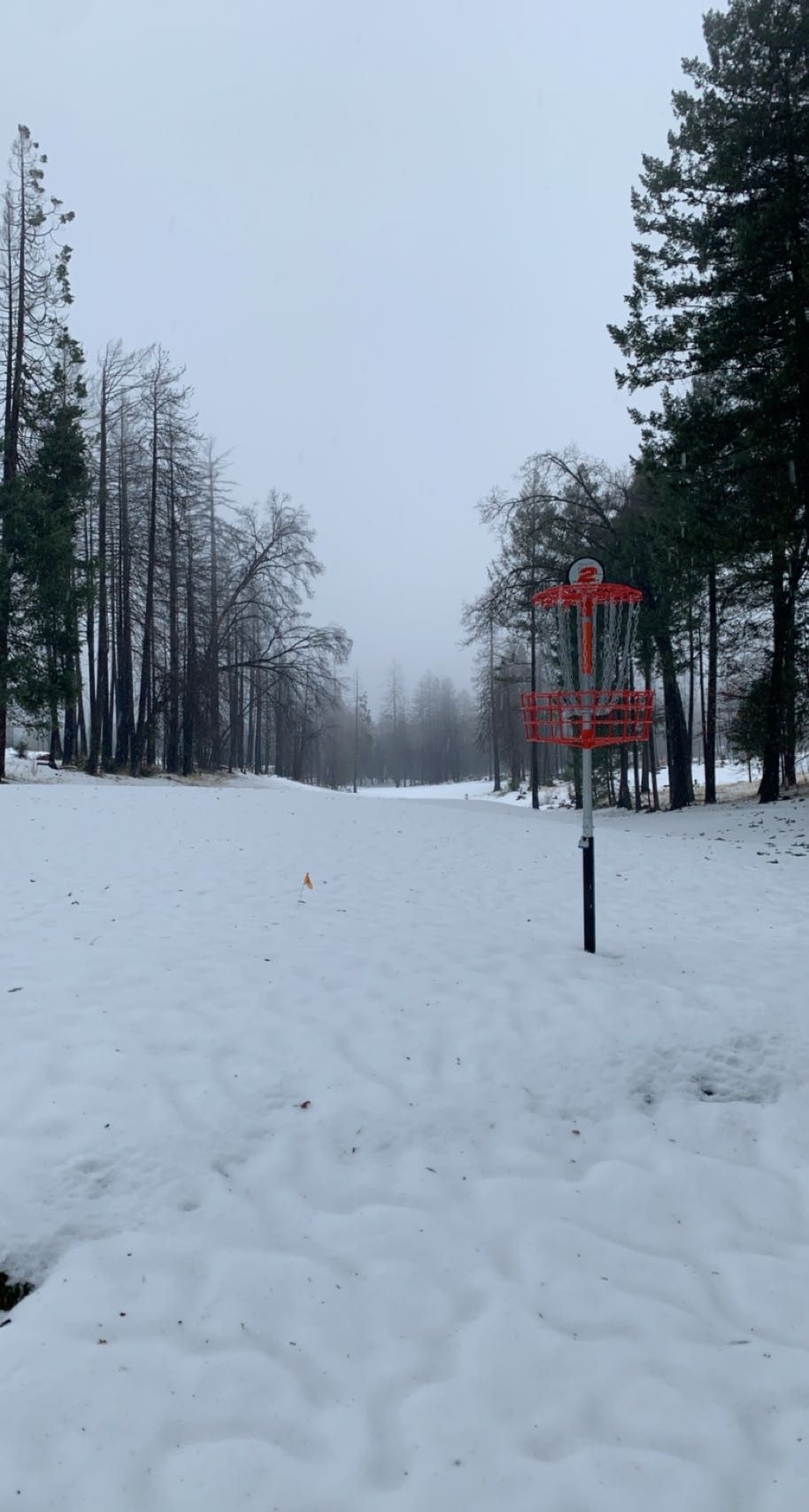 Hole 2