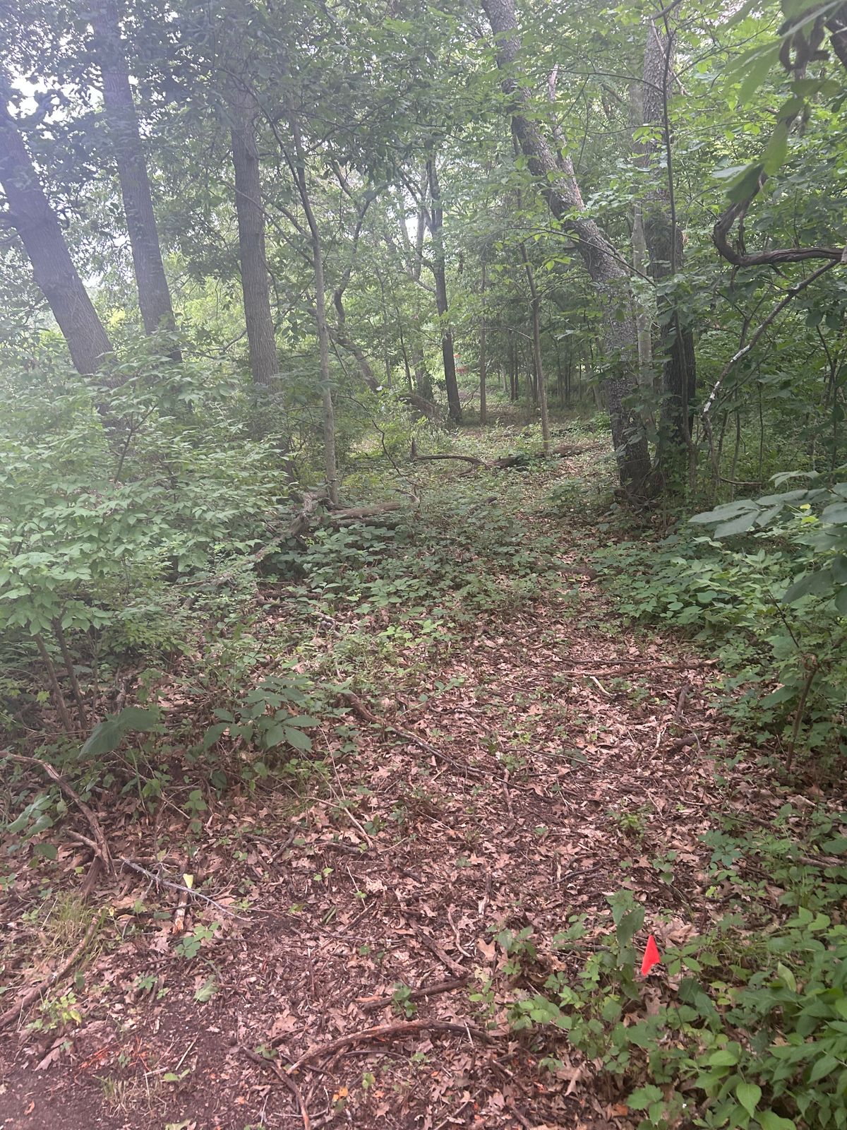 Hole 5 option left