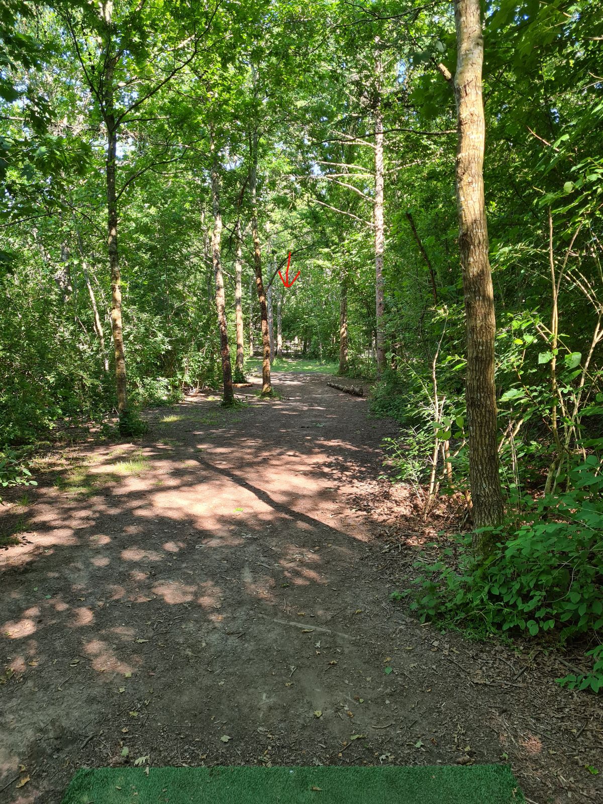 Hole 16, view from yellow tee. Basket hidden in the back.