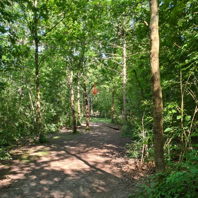 Hole 16, view from yellow tee. Basket hidden in the back.