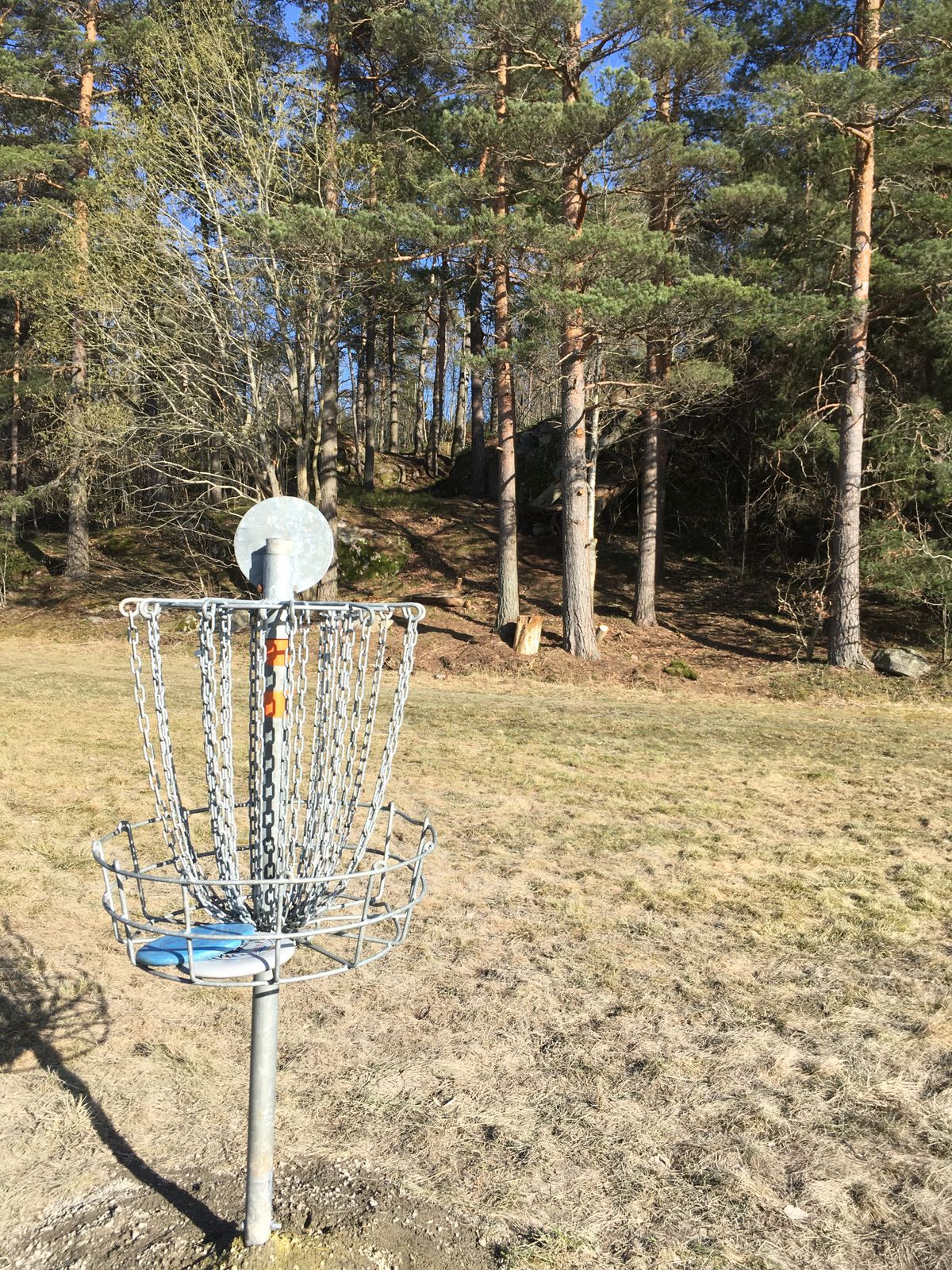 Hole #10/16 downhill