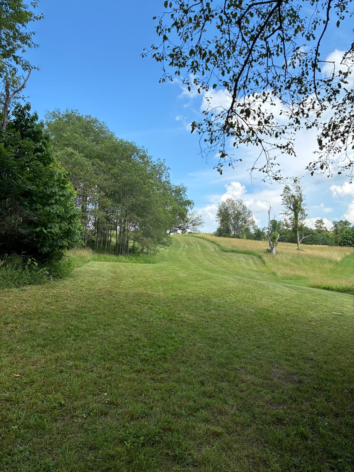 #11 tee box. Slight dogleg left