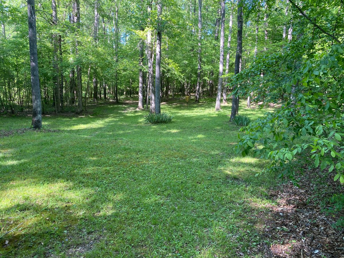 Hole 15