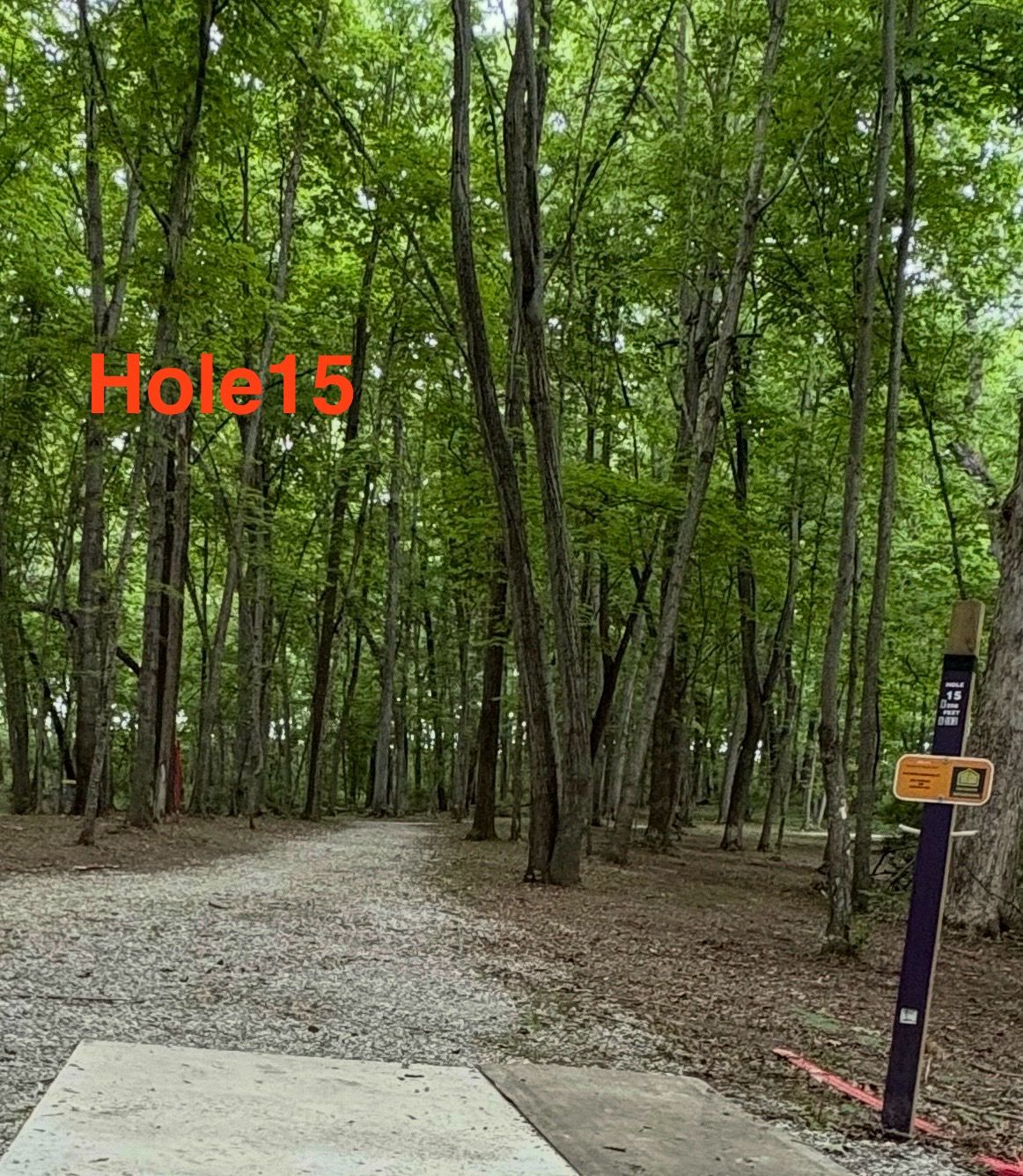 Hole 15