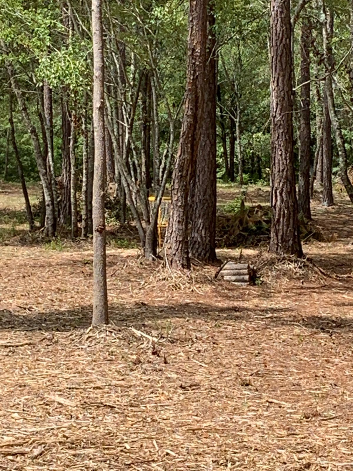 Hole 17