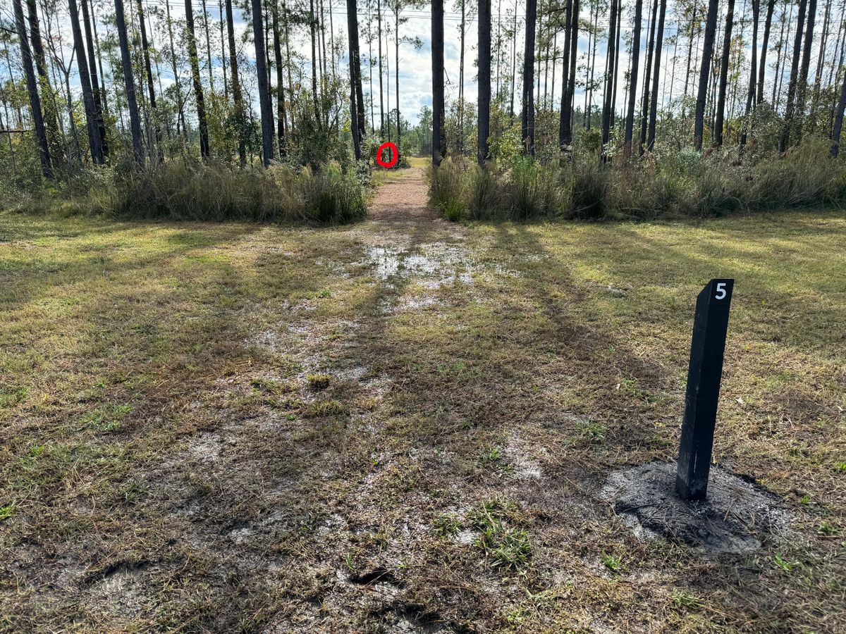 #5 fairway