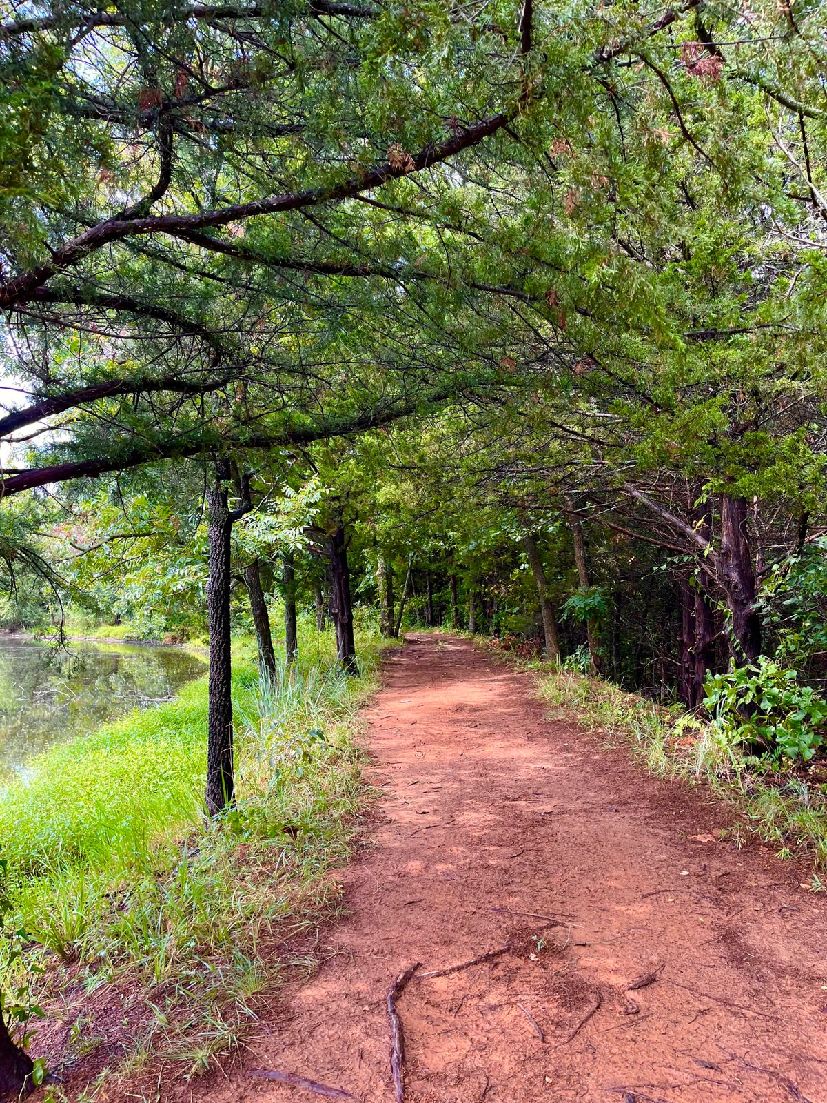 Walkway between 9 and 10