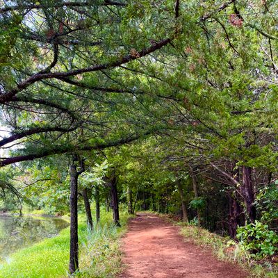 Walkway between 9 and 10