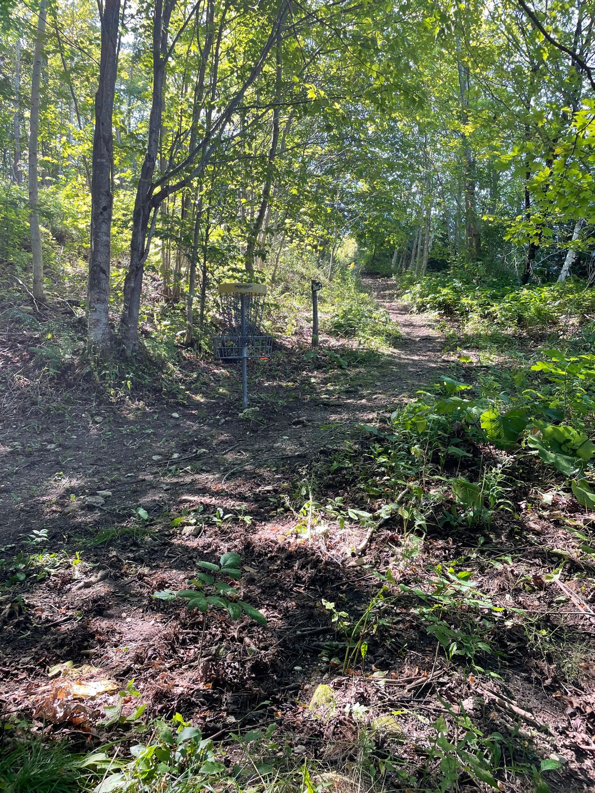 7s basket in front of steep uphill path to 8