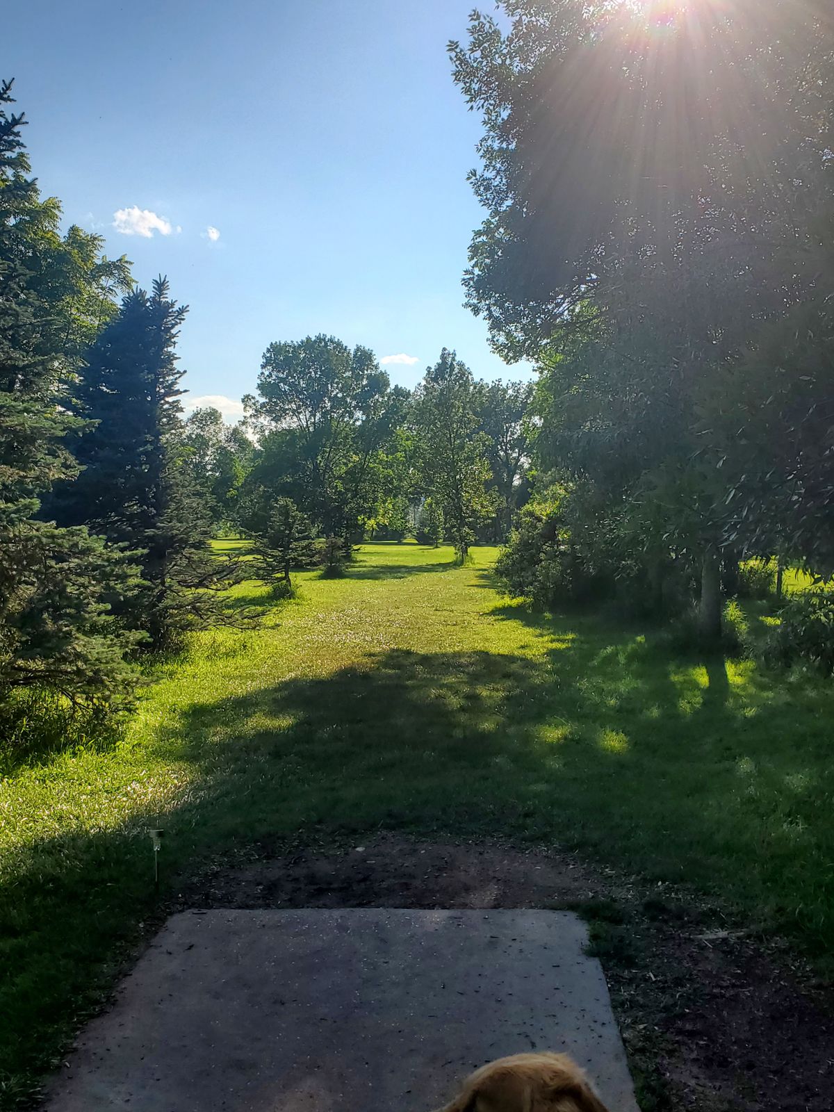 Hole 13
