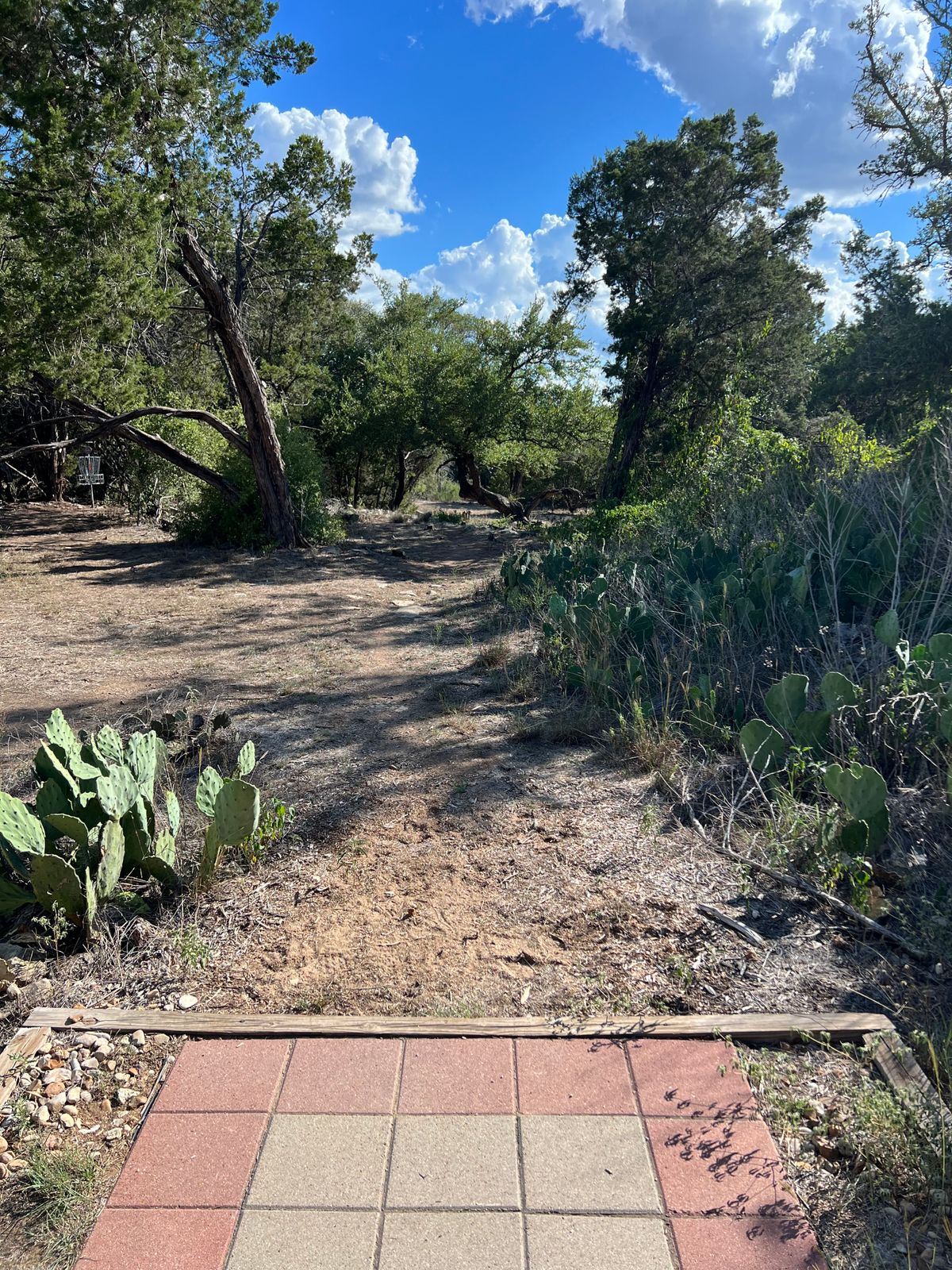 Hole #3 Main Tee