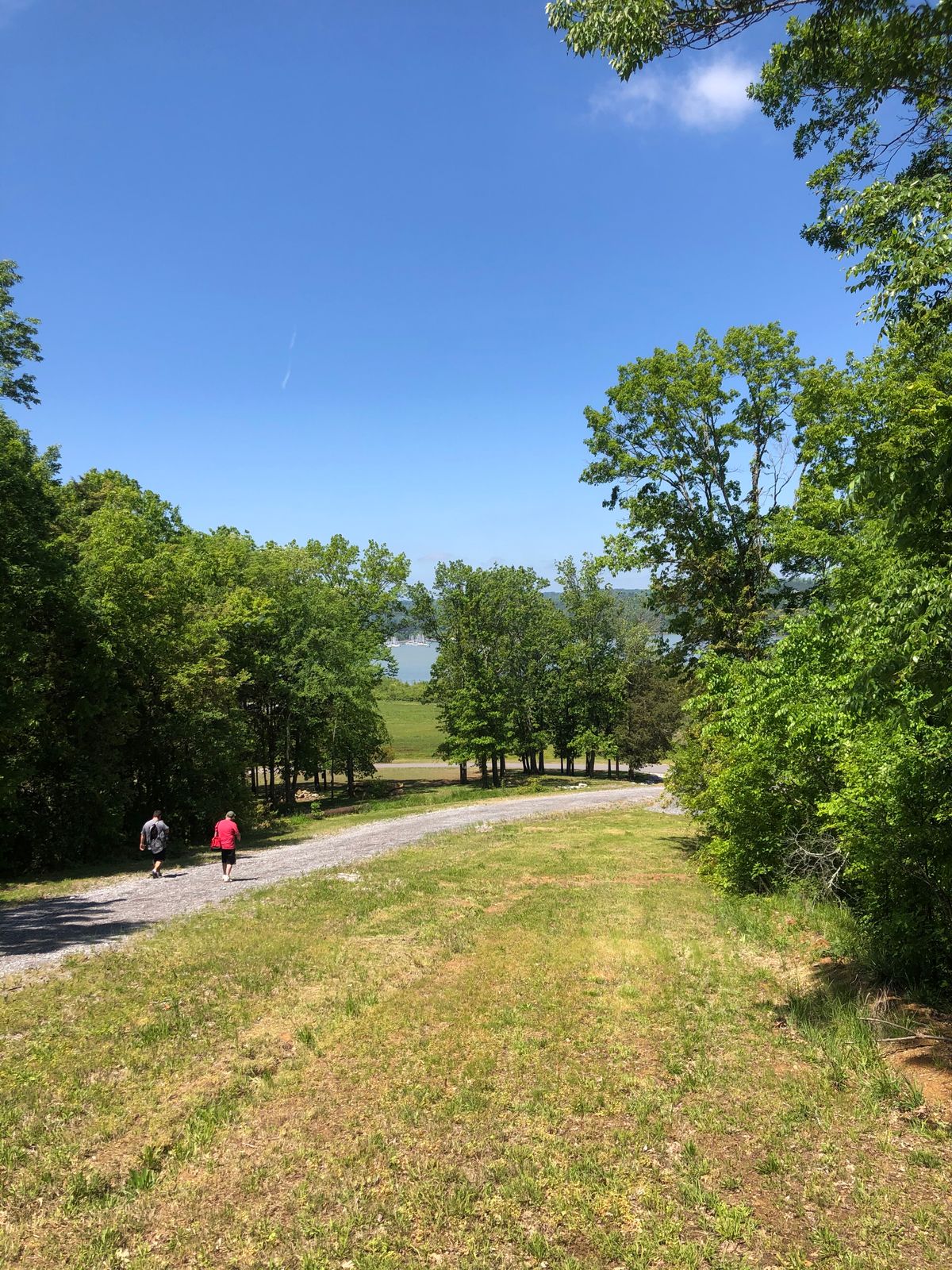 Hole 15
