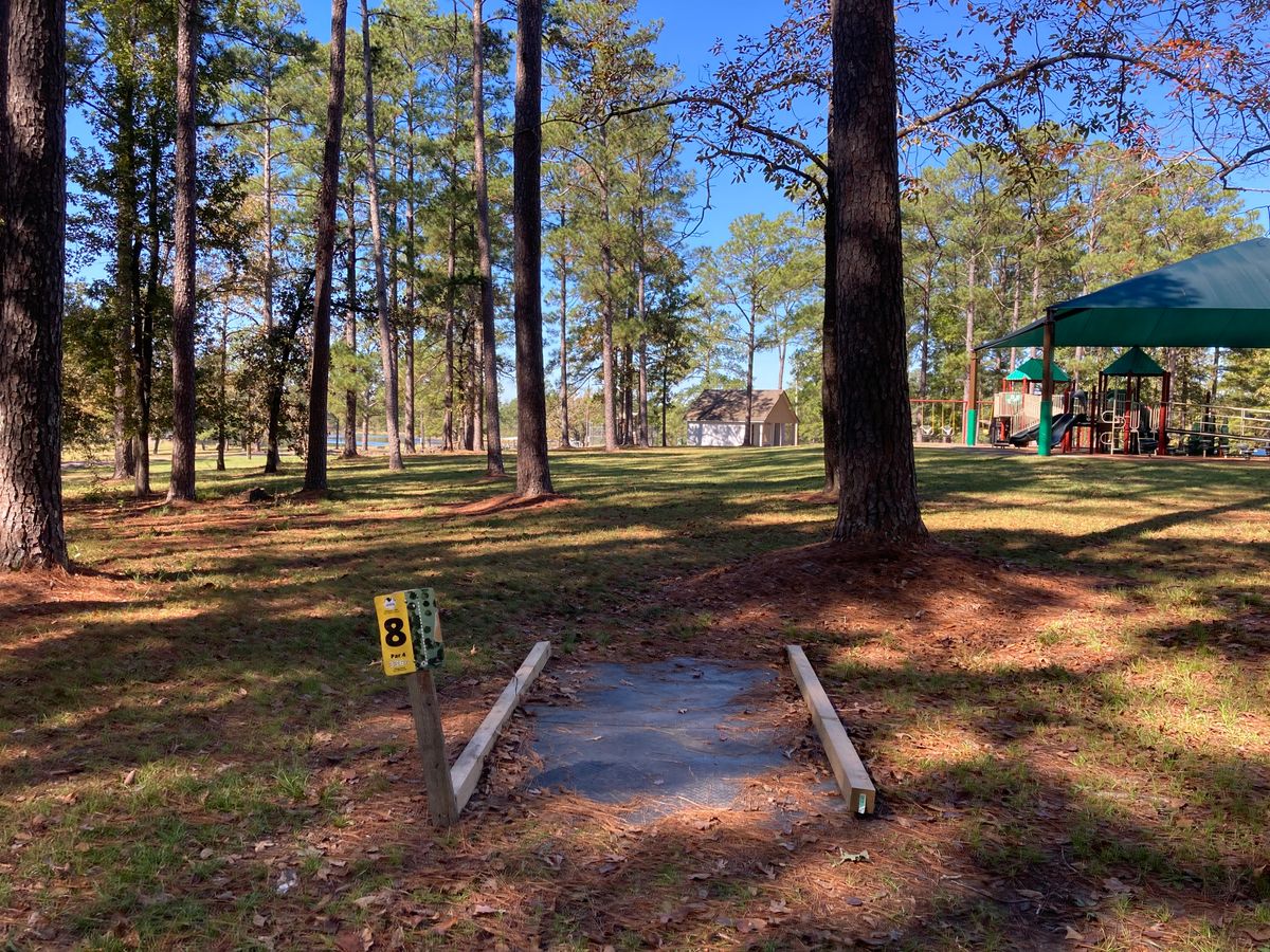 Hole 8 Tee
