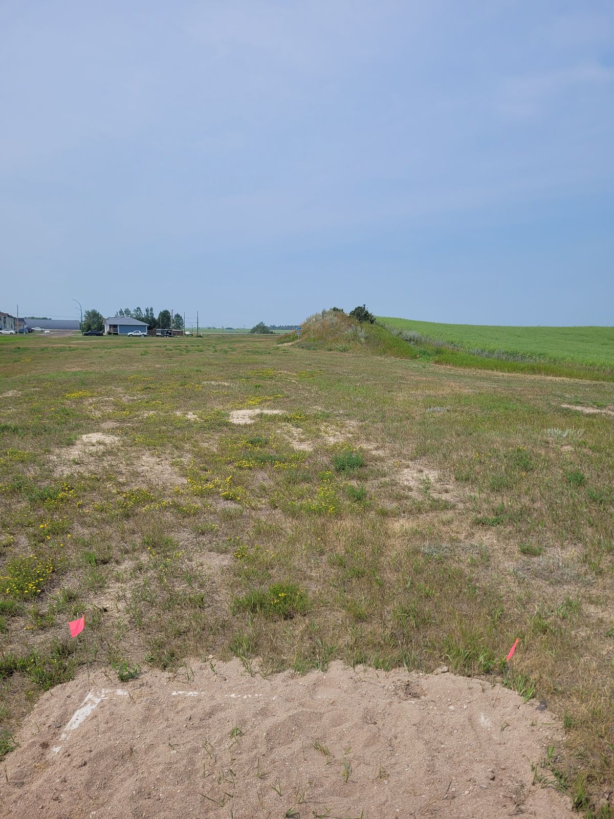 Tee #2 with Basket on Hill in Distance