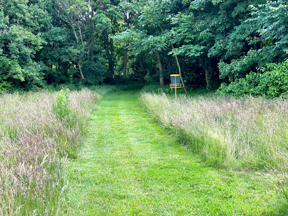 Hole 2 with a lot of high vegetation and Forrest to stop the easy birdie