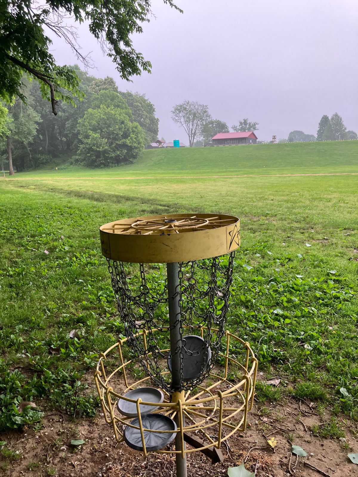 Hole 1 Basket looking at the tee box.
