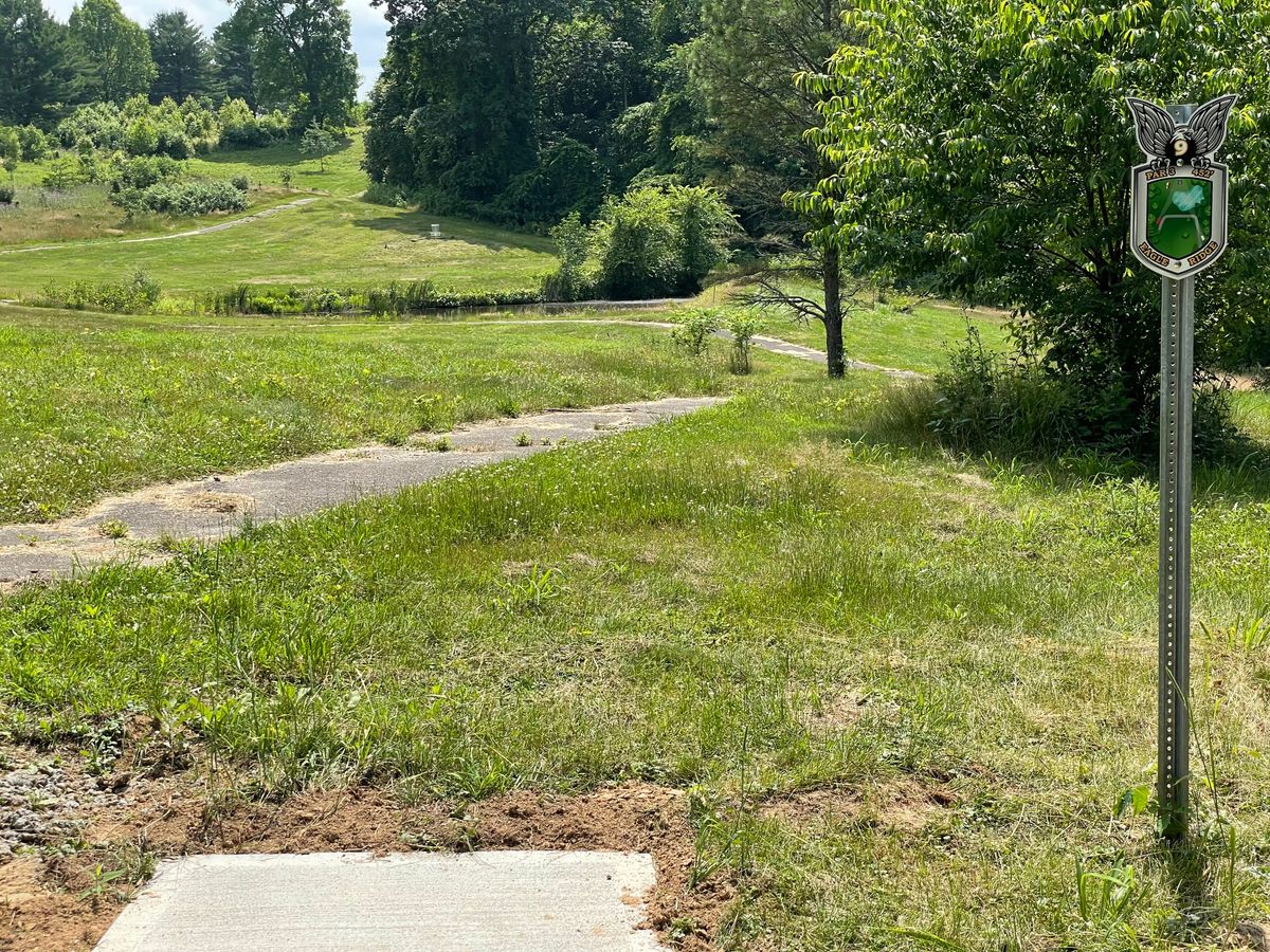 White Tee, 250' to edge of pond, 375' across.  You going to go for it?
