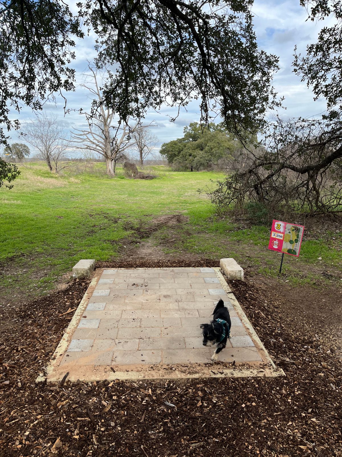 Hole 3