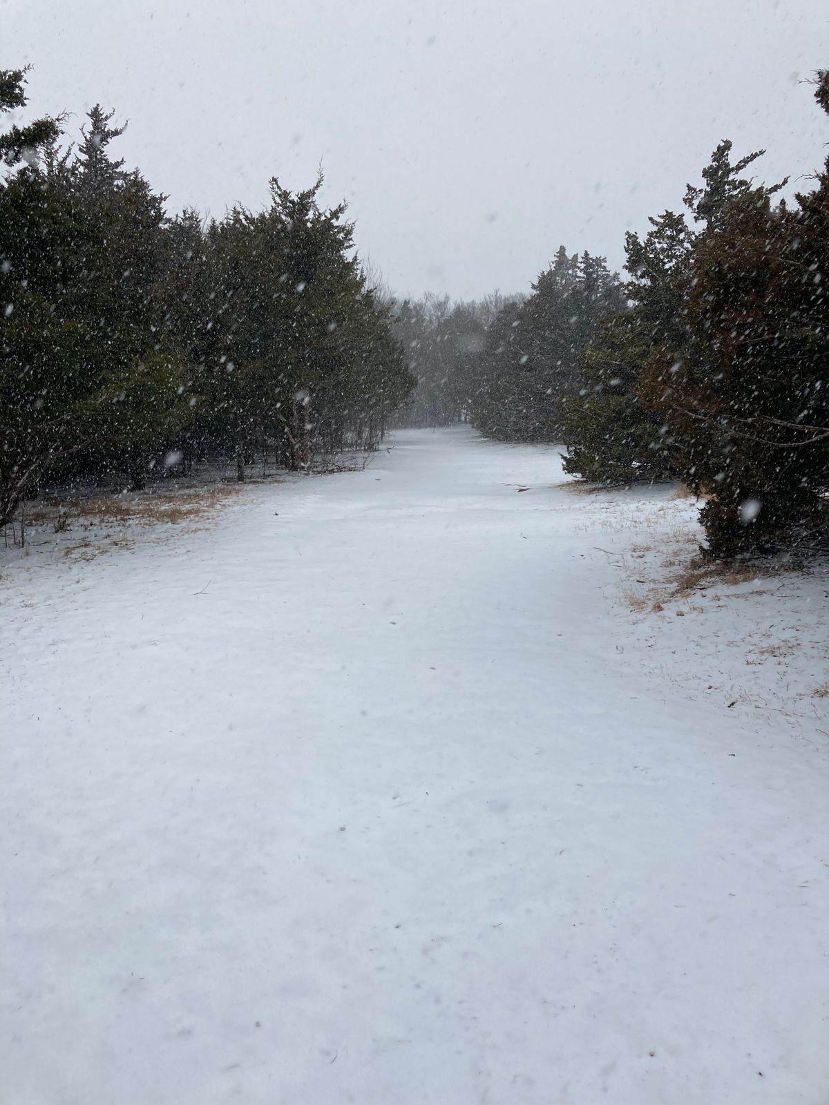 Hole 7