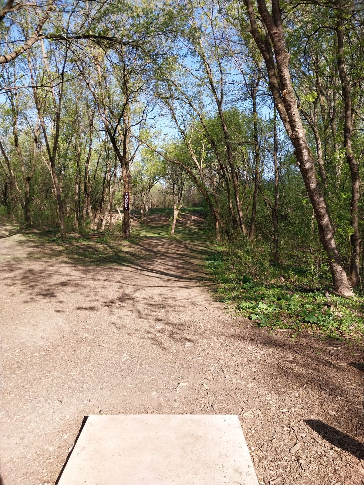Tee 1