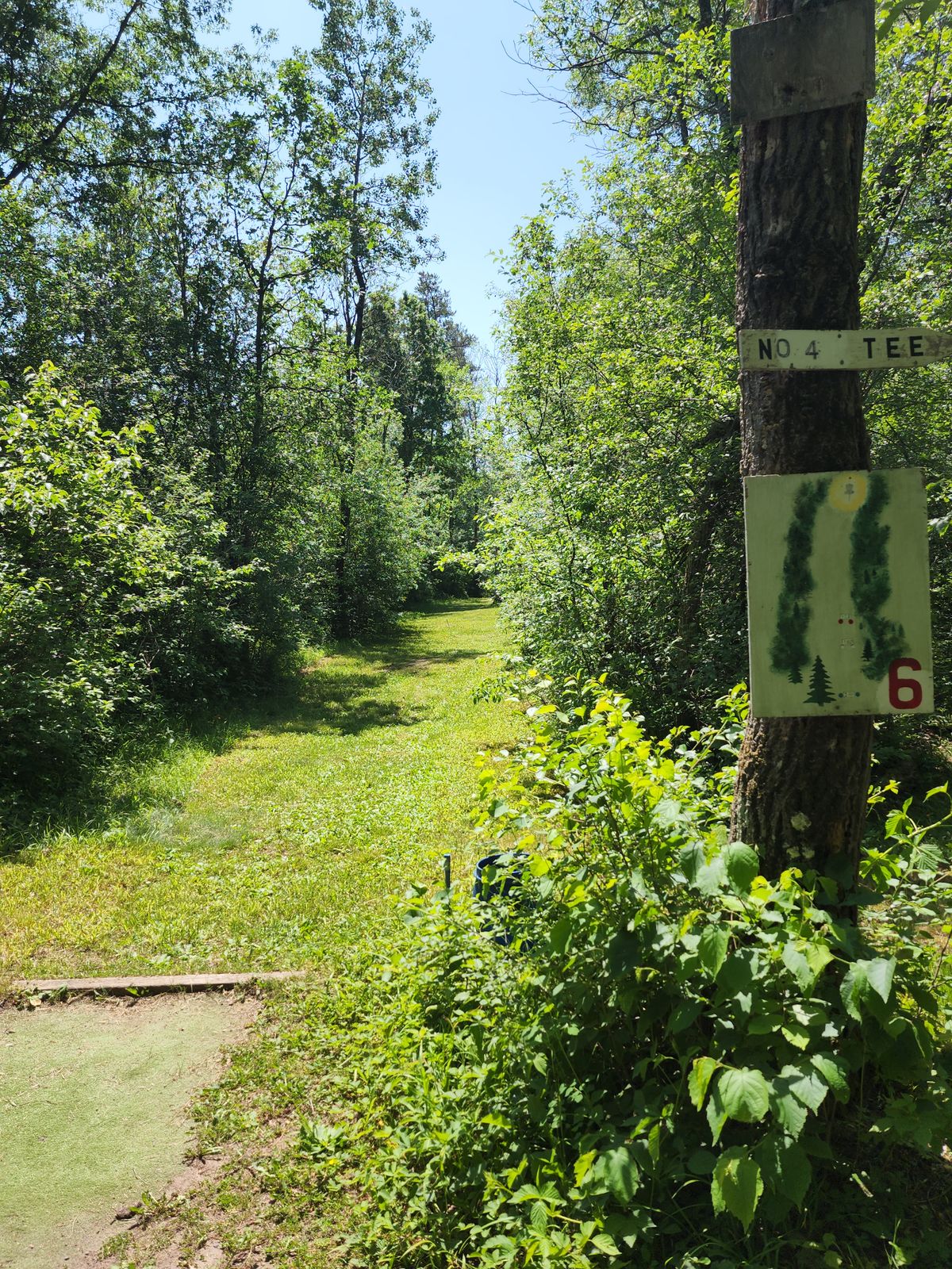 Hole 6 Overview